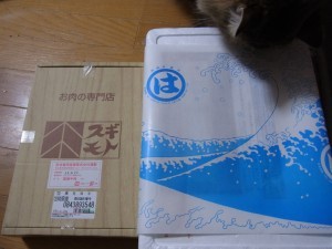 「猫だらけ」