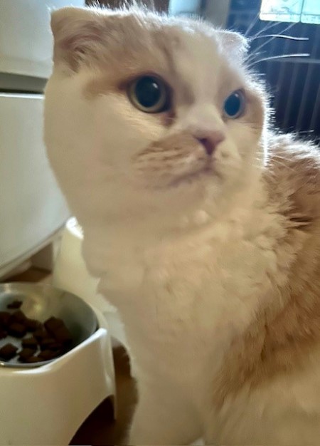 thumbnail_IMG_4713 (1)