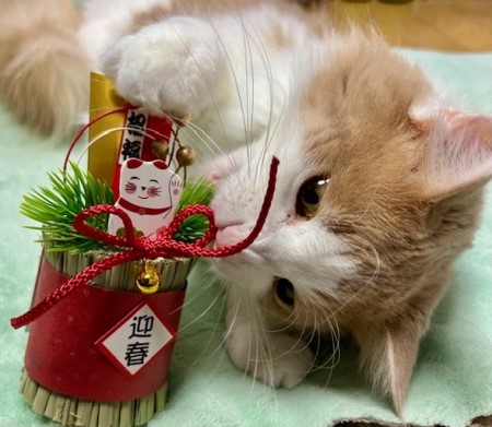 thumbnail_IMG_6053 (1)