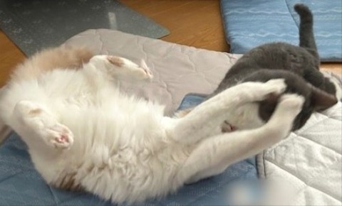 thumbnail_IMG_4255 (2)