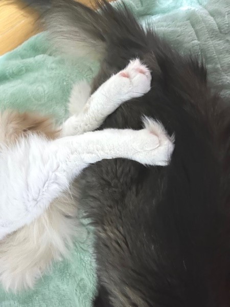 thumbnail_IMG_4738 (1)