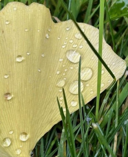 thumbnail_IMG_8411 (2)