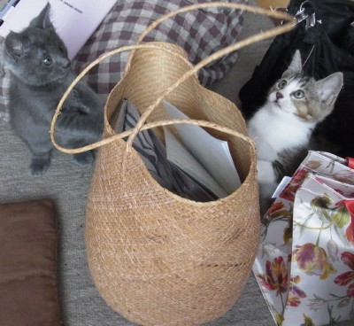 「猫だらけ」
