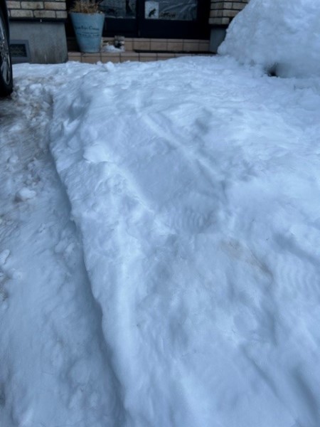 thumbnail_IMG_3716 (1)