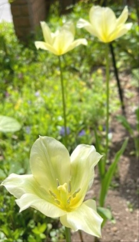 thumbnail_IMG_0515