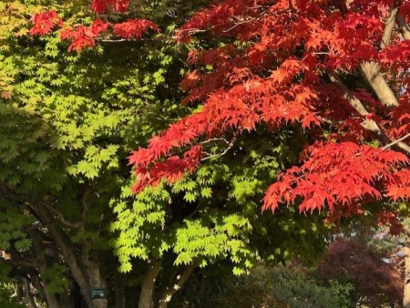 thumbnail_IMG_4051 (2)