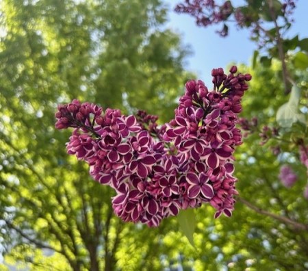thumbnail_IMG_0232 (1)
