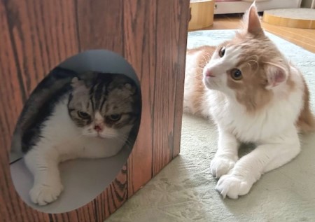 thumbnail_IMG_8382 (1)