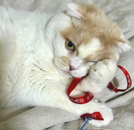 thumbnail_IMG_1445 (2)