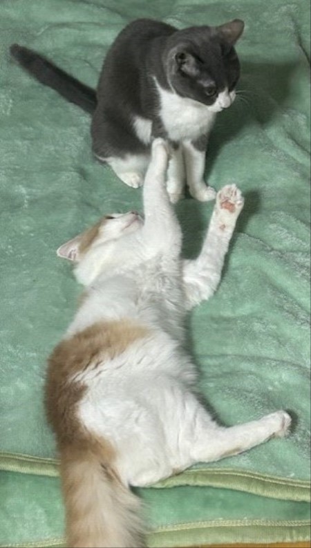 thumbnail_IMG_3133 (1)