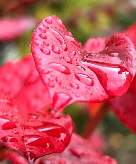 thumbnail_IMG_7928