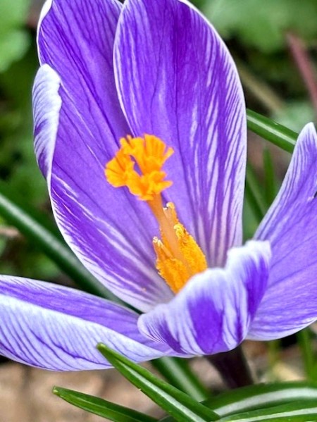 thumbnail_IMG_4979