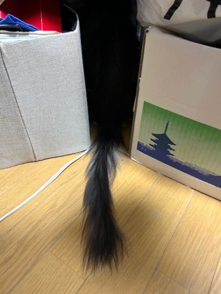 thumbnail_IMG_3711 (1)