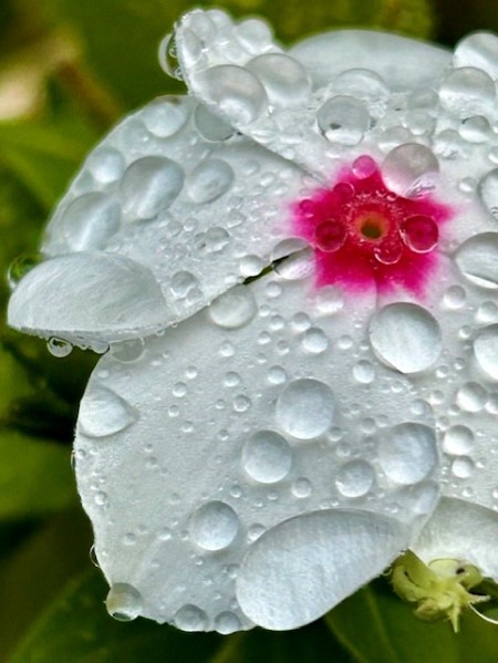 thumbnail_IMG_3551 (1)