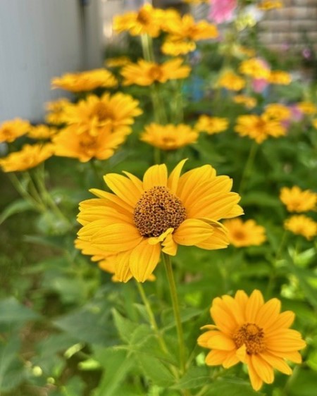 thumbnail_IMG_9540