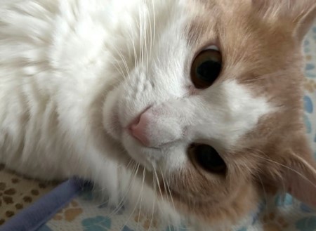 thumbnail_IMG_3246 (1)