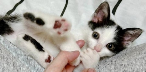 thumbnail_IMG_6701 (1)_1