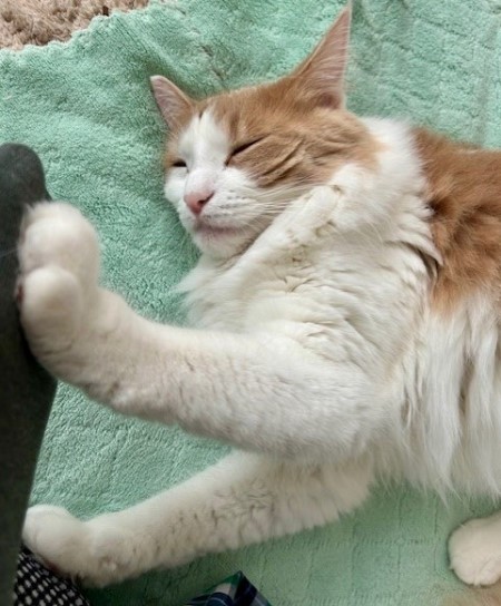 thumbnail_IMG_5963 (1)