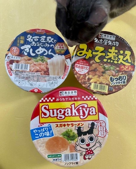 thumbnail_IMG_8242 (2)