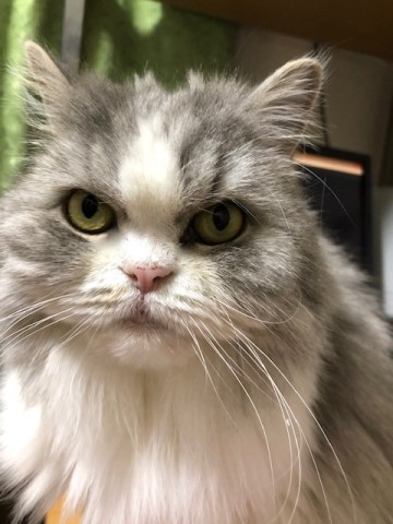 IMG_92044