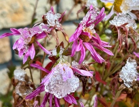 thumbnail_IMG_4233 (1)