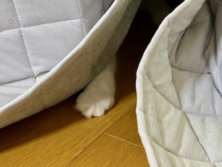 thumbnail_IMG_0077 (1)