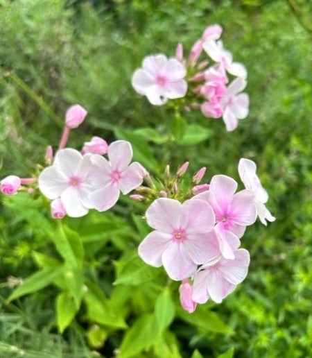 thumbnail_IMG_5644