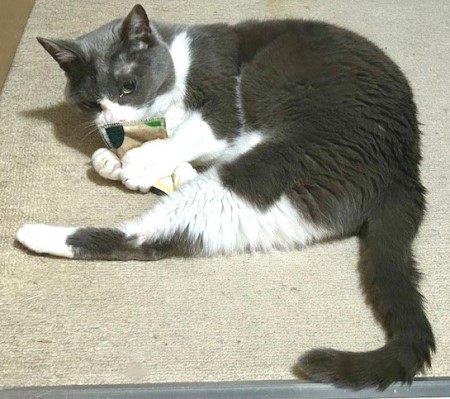 thumbnail_IMG_5246 (2)