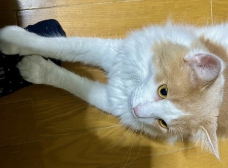 thumbnail_IMG_3542 (1)