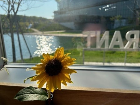 thumbnail_IMG_0710 (1)