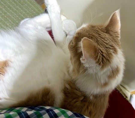 54825182-ed2d-47d8-aecd-5d7733a09709