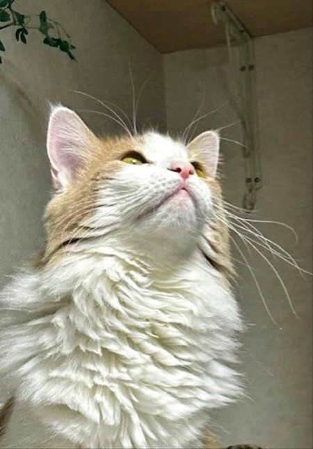 thumbnail_IMG_7767