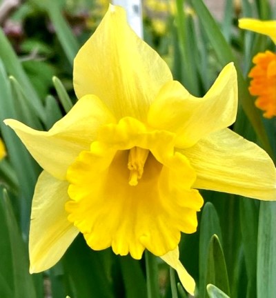 thumbnail_IMG_0195