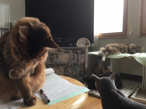 {3F05A24E-EC6B-4526-97B3-0AF4ADFE6FC3}