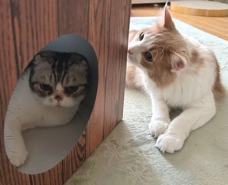 thumbnail_IMG_8381 (2)