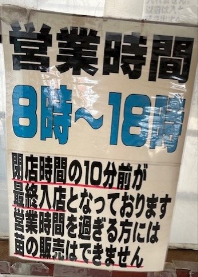 thumbnail_IMG_7788 (1)