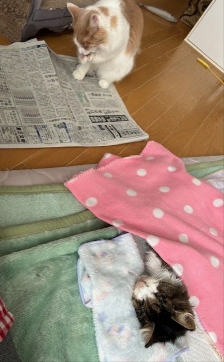 thumbnail_IMG_1346 (1)