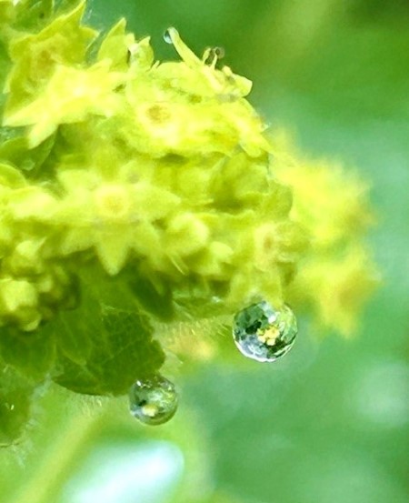 thumbnail_IMG_7706 (1)