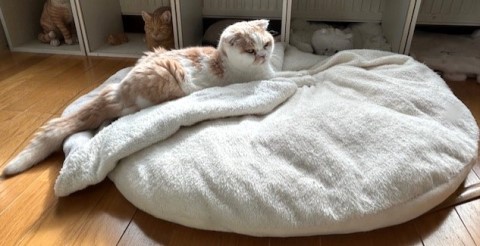 thumbnail_IMG_7676 (1)