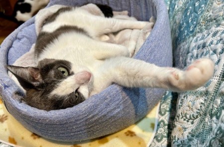 96761697-b84d-4bd9-ba01-5d0290ef0be6