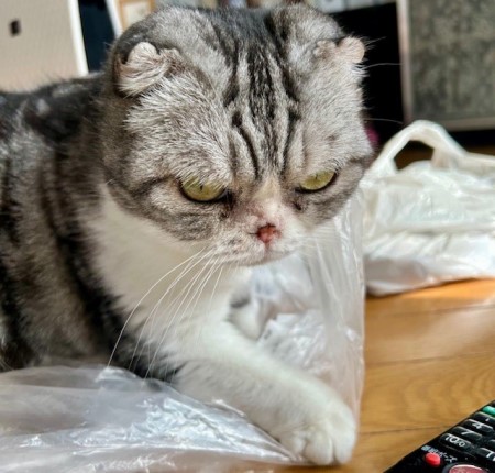 thumbnail_IMG_0527 (2)