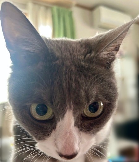 thumbnail_IMG_6660 (1)