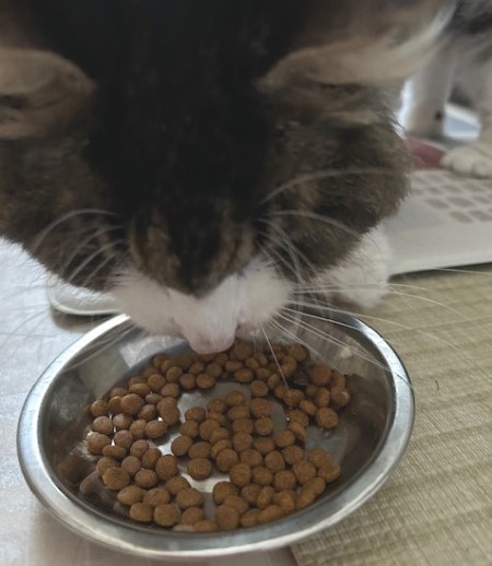 thumbnail_IMG_7914 (1)