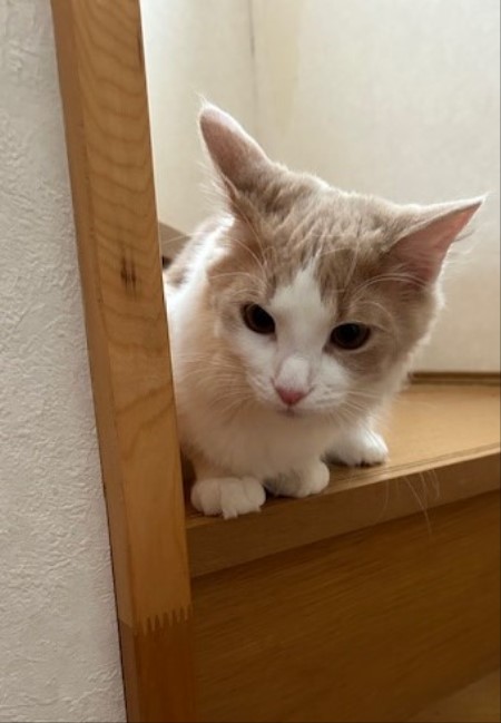 thumbnail_IMG_5808 (1)