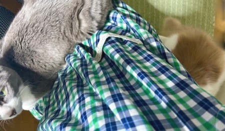 thumbnail_IMG_5976 (1)