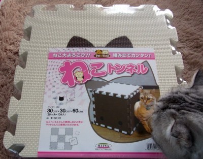 「猫だらけ」