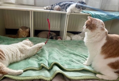 thumbnail_IMG_0304 (1)