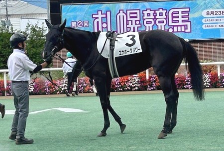 thumbnail_IMG_1584 (1)