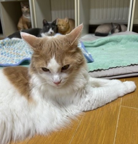 thumbnail_IMG_5318 (1)