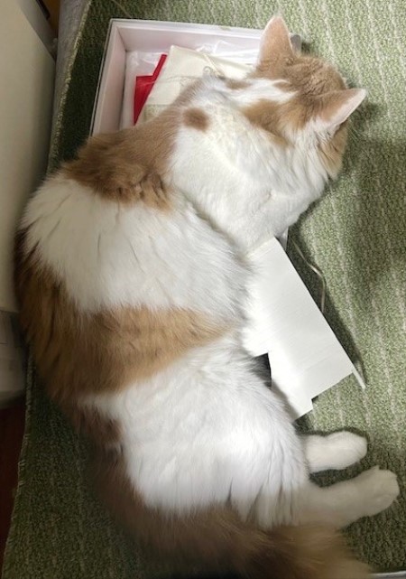 thumbnail_IMG_6204 (1)